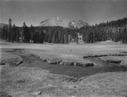 Kings Creek Meadow before