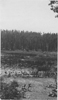 Willow Lake before